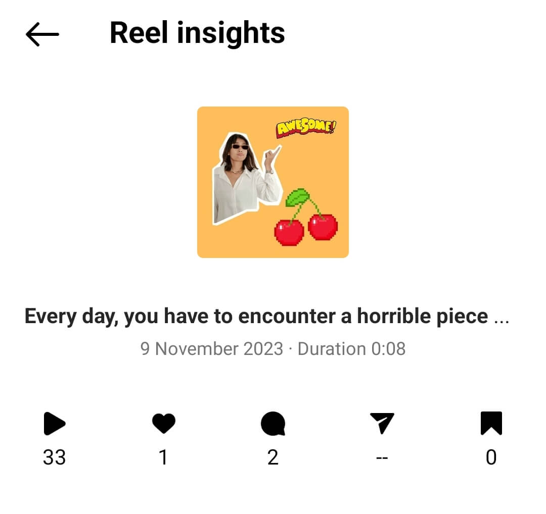 Instagram Video Insights